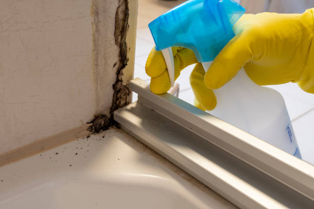 Best Residential Mold Removal  in Oregon, OH